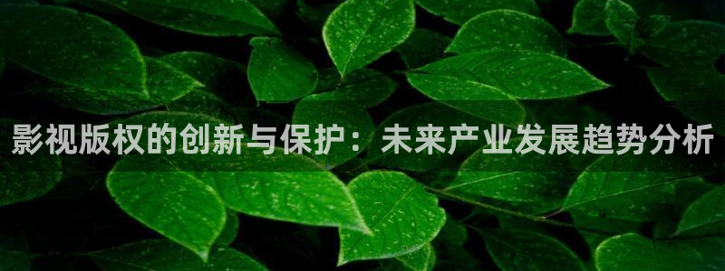 酷客影院在线观看电视剧电影：影视版权的创新与保护：未来产业发展趋势分析