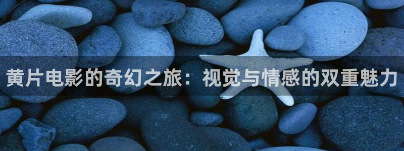 酷客电影免费观看：黄片电影的奇幻之旅：视觉与情感的双重魅力