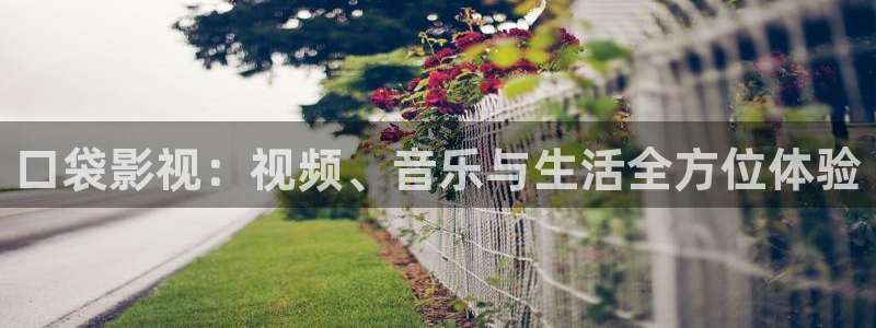 酷客影院旧版入口：口袋影视：视频、音乐与生活全方位体验