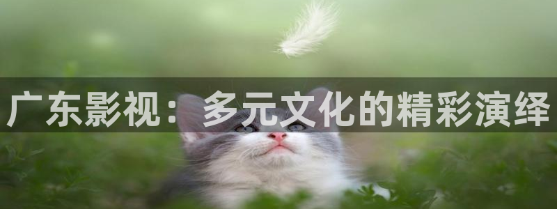 酷客免费影院