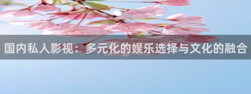 免费手机影院酷客影院：国内私人影视：多元化的娱乐选择与文化的融合