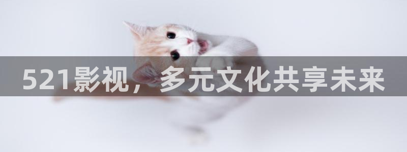 了酷客影院：521影视，多元文化共享未来