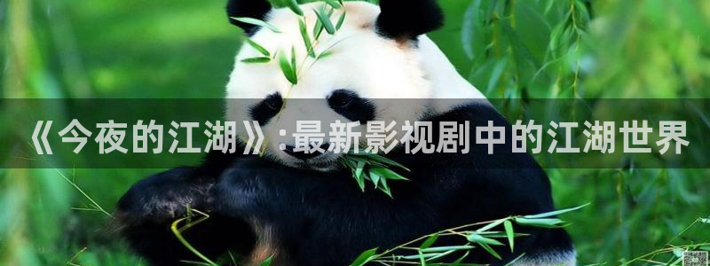 酷客新影视：《今夜的江湖》:最新影视剧中的江湖世界