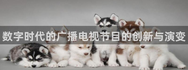 酷客手机影院：数字时代的广播电视节目的创新与演变